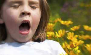 Аллергия на цветение весной