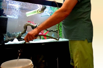 Правила поддержания гигиены Мытье аквариума