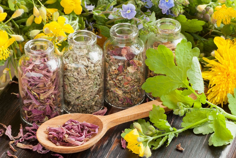 Как лечить отек Квинке домашними средствами Травы как средство от отека Квинке