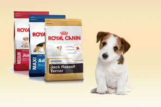 Корм для собак "Роял канин" Корм