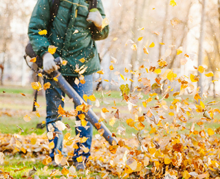 Аллергия из-за уборки прелых листьев Уборка прелых листьев
