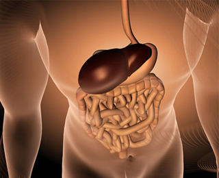 Аланинаминотрансфераза Степень цитолиза