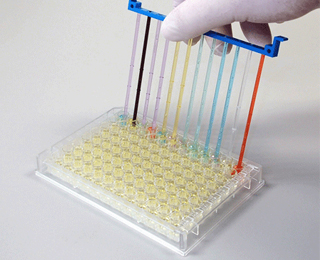 Выявление специфических антител IgЕ Тест