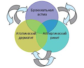 Схема развития атопии Развитие атопии