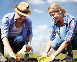Меры предосторожности при пребывании на огороде Люди на огороде