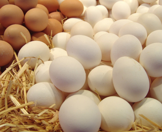 Исключение из рациона питания яиц Яйца
