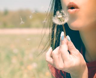 Летний аллерген Аллерген