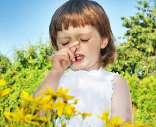 Аллергическая реакция у ребенка Аллергическая реакция