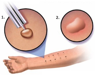 Результаты