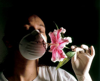 Развитие поллиноза в организме человека Поллиноз