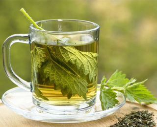 Настой крапивы Профилактика