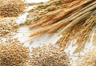 Различные злаковые растения