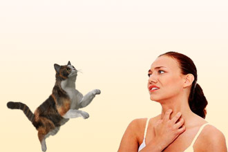 аллергия на кошек