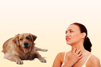 симптомы аллергии