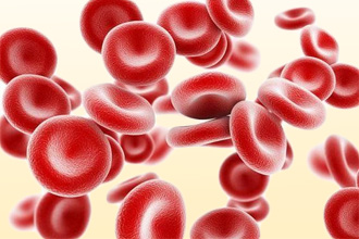 Исследования крови Исследования крови