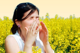 Аллергия на цветение - сезонное заболевание респираторной системы и глаз Аллергия на цветение