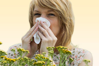 При контакте с пыльцой может возникнуть ринит Аллергия на пыльцу