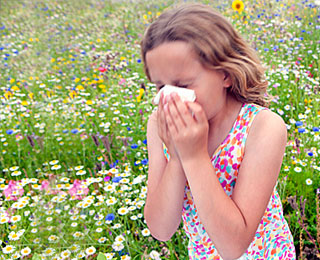 Развитие острого поллиноза Девочка закрыла нос салфеткой