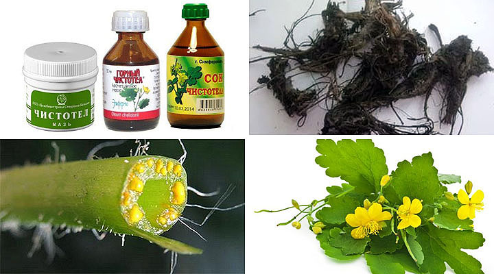 Для приготовления лекарственных средств используются Пподготовка сырья