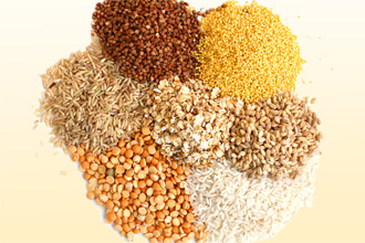 Можно вводить в рацион крупы Можно вводить в рацион крупы