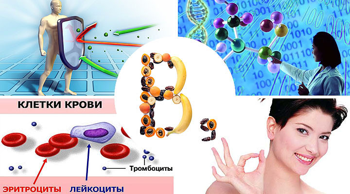 Биологическая роль препарата Биологическая роль
