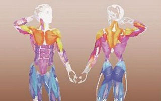 Высвобождаются внутренние резервы организма Феномен голодания