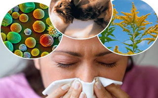 Склонность к аллергии Выбор комплекса