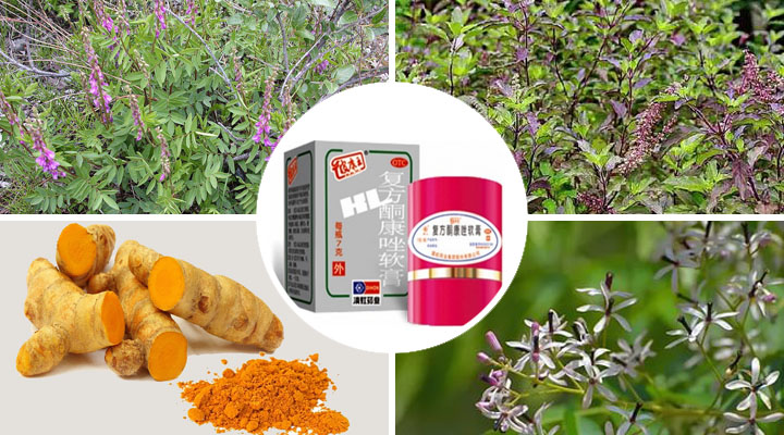 Состав мази "Король кожи" Состав препарата