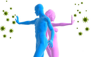 Повышает защитные функции Свойства препарата