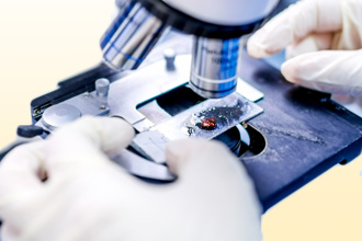 Общеклинические тесты Общеклинические тесты