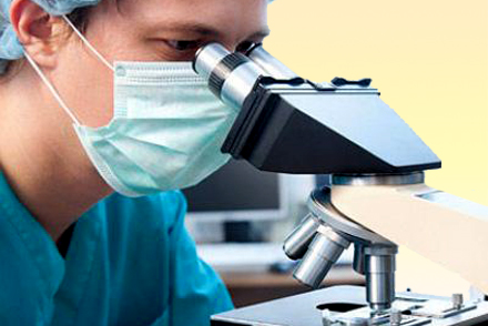 Лабораторные тесты Лабораторные анализы