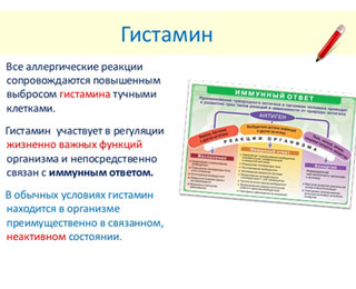 Главный медиатор аллергии Гистамин