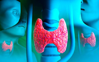 Эндокринные нарушения Причины обострения