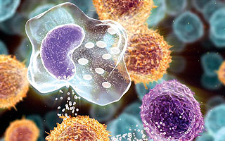 Вывод избытка токсинов Избыток токсинов