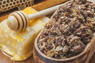 Прополис тормозит рост опухоли Мед и прополис