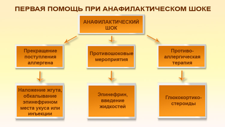 Схема первой помощи при анафилактическом шоке Помощь при анафилактическом шоке
