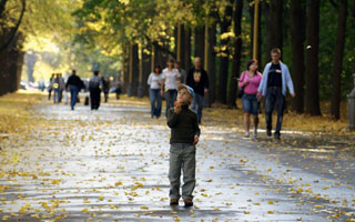 Ежедневные пешие прогулки Профилактика болезни